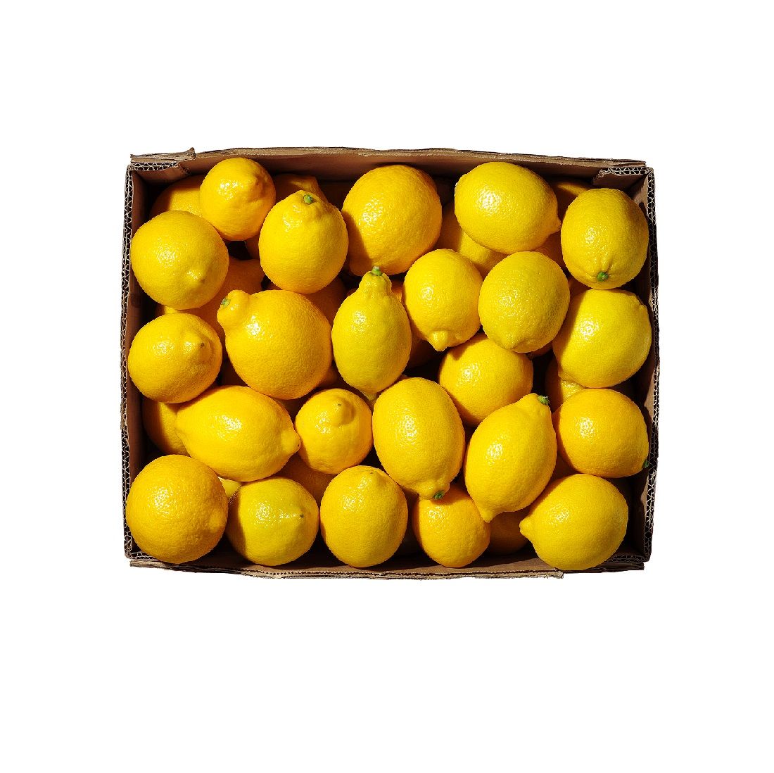 Lemon Box Size: 15 Kg South Africa 🇿🇦